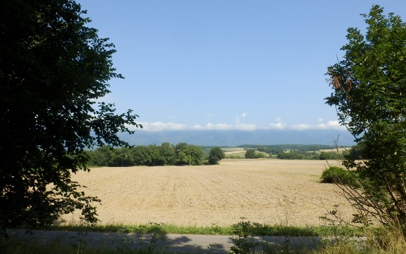 Champagne bei Chancy