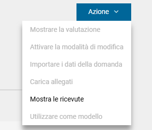 aktion_it